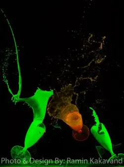 فیلترUV-Pass+بارندور