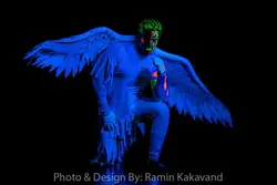 فیلترUV-Passمخصوص فلاش اسپید لایت