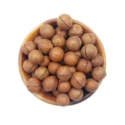 ماکادمیا(فندق استرالیایی) - آجیل اصل تبریز