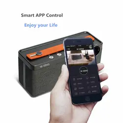 اسپیکر بلوتوثی قابل حمل دبلیو کینگ مدل X10 | فروشگاه اینترنتی لوازم جانبی دیجیتال بیتکس | Bitex