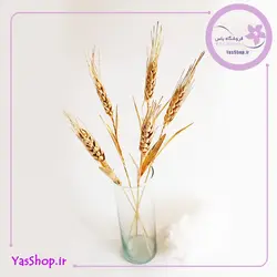 خوشه گندم برنجی