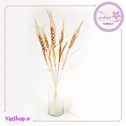 خوشه گندم برنجی