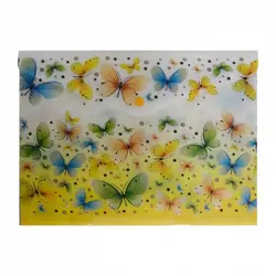 پوشه پاپکو دکمه دار و طرح دار A4