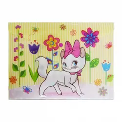 پوشه پاپکو دکمه دار و طرح دار A4