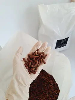 غذای ماهیان زینتی (خوراک ماهیان زینتی)