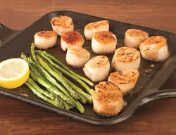 ماهیتابه برند Lodge|مدل ‎P12SG3| توری چدن مربعی| 12 اینچی|Pro-Logicتابه گریل پیش ساخته با دسته دوتایی| مشکی|زمان تحویل 2 تا 3 هفته کاری