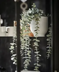 اکالیپتوس مصنوعی با گلدان آوایز ایکیا | IKEA FEJKA Artificial potted plant | تحویل 2 تا 3 هفته کاری