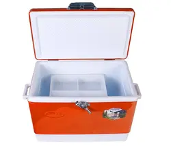 یخچال مسافرتی کوچک 28 لیتری