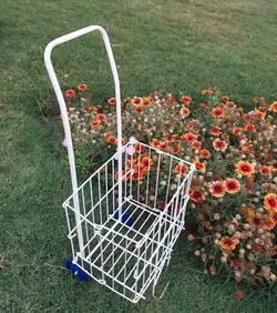 چرخ خرید فلزی با روکش سفید