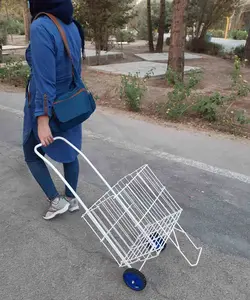 چرخ خرید فلزی با روکش سفید