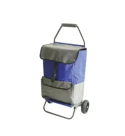 چرخ دستی خرید طرح دار (مدل آراد)