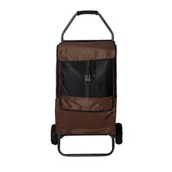 چرخ دستی خرید طرح دار (مدل آراد)