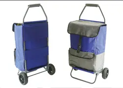 چرخ دستی خرید طرح دار (مدل آراد)