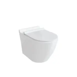 والهنگ توالت فرنگی چینی کرد مدل کانسپت