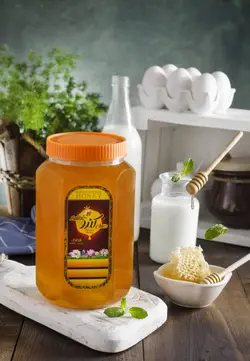 عسل 2 کیلویی کندو خوانسار