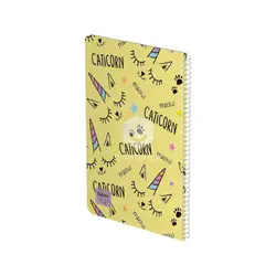 مشخصات و خرید عمده دفتر ۴۰ برگ وزیری سیمی فانتزی الیپون کد ۲۱۴ - نیک استور | فروشگاه عمده لوازم تحریر