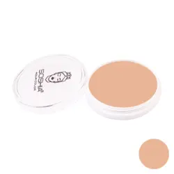 پنکیک سنگی و استخری بژ تیره شماره T130 سوشیا