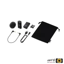 میکروفون بی‌سیم سونی Sony ECM-W2BT