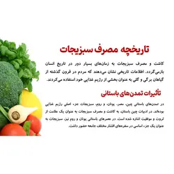 پاورپوینت درباره سبزیجات، خواص و مضرات آن