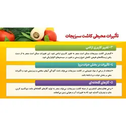 پاورپوینت درباره سبزیجات، خواص و مضرات آن