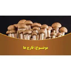 پاورپوینت درباره خواص و فواید قارچ ها