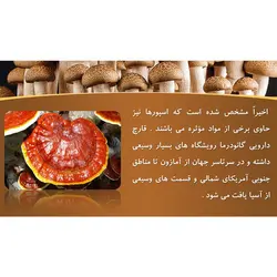 پاورپوینت درباره خواص و فواید قارچ ها