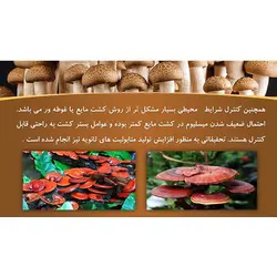 پاورپوینت درباره خواص و فواید قارچ ها
