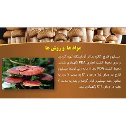 پاورپوینت درباره خواص و فواید قارچ ها