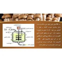 پاورپوینت درباره خواص و فواید قارچ ها