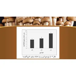 پاورپوینت درباره خواص و فواید قارچ ها