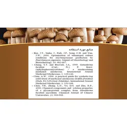 پاورپوینت درباره خواص و فواید قارچ ها