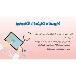 پاورپوینت درباره ژل الکتروفورز