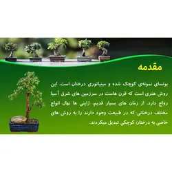 پاورپوینت درباره معرفی گیاه بونسای