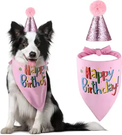 لباس سگ The Creativehome Dog Birthday ارسال 10 الی 15 روز کاری