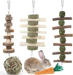 لوازم جانبی خرگوشBBjinronjy Rabbit Chew Toys for ارسال 10 الی 15 روز کاری