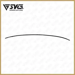 زه سقف چپ ریو اصلی