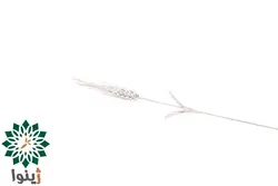 سنبل مسی با آبکاری نقره