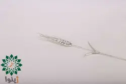 سنبل مسی با آبکاری نقره