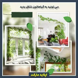 گیره نگهدارنده گیاهان رونده - گیره پتوس طرح برگ