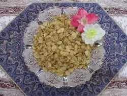 سیر خشک – آسان میوه