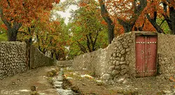 نخ و نقشه کوچه باغ رنگبندی فوق العاده