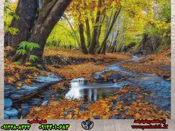 نخ و نقشه منظره فاصله تابستان و پاییز