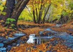 نخ و نقشه منظره فاصله تابستان و پاییز