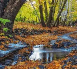 نخ و نقشه منظره فاصله تابستان و پاییز