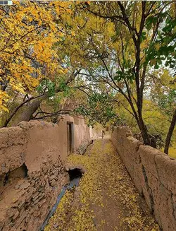 نخ و نقشه جوی آب و کوچه باغ پاییز