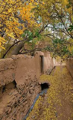 نخ و نقشه جوی آب و کوچه باغ پاییز