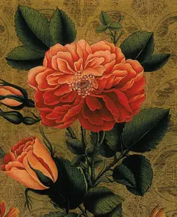 نخ و نقشه گل و مرغ اختصاصی