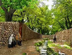 خرید نخ و نقشه کوچه باغ قدیمی