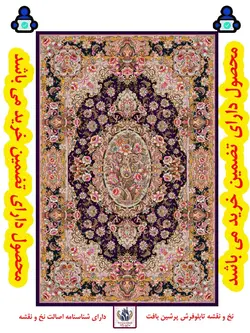 شاه عباسی-زندگی کوچک رنگبندی6