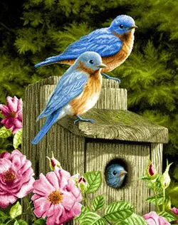 نخ و نقشه تابلو فرش آشیانه